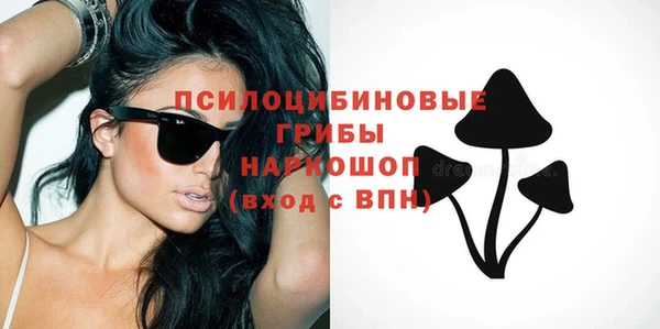 СК Семилуки