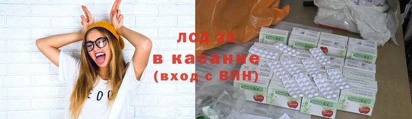 стаф Дегтярск